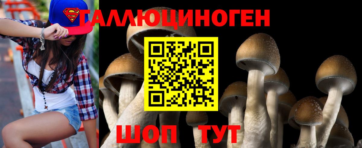 Псилоцибиновые грибы Psilocybe Ухта